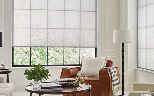 Hunter Douglas Shades